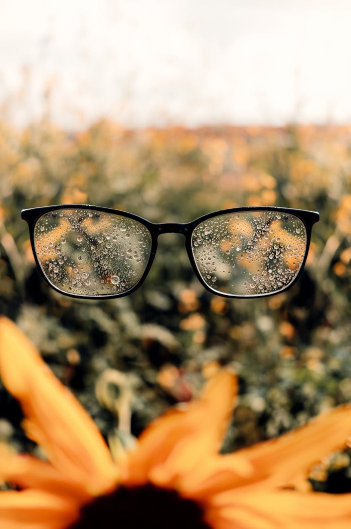 Eyeglasses with water drops hovering in a vibrant sunflower field, sunny day scene.
